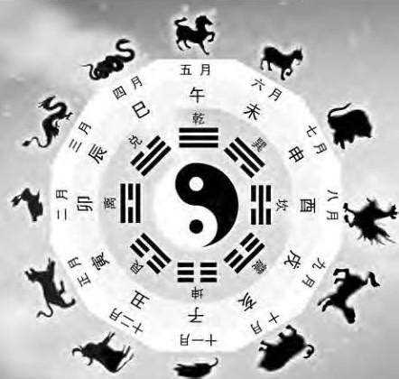 生肖 天干地支|天幹地支